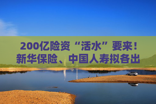 200亿险资“活水”要来！新华保险、中国人寿拟各出资100亿元认购二期鸿鹄基金  第1张