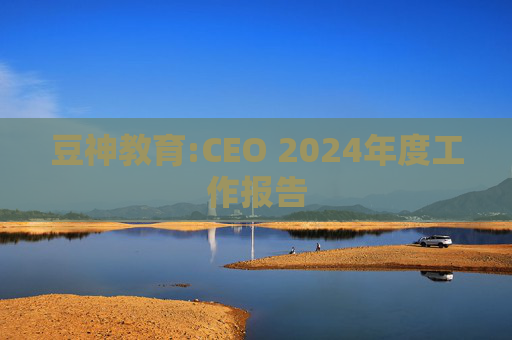 豆神教育:CEO 2024年度工作报告