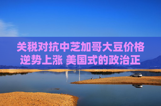 关税对抗中芝加哥大豆价格逆势上涨 美国式的政治正确？  第1张