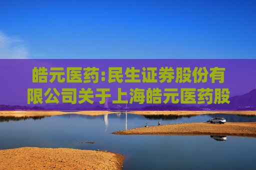 皓元医药:民生证券股份有限公司关于上海皓元医药股份有限公司申请2025年度综合授信及为子公司提供担保的核查意见  第1张
