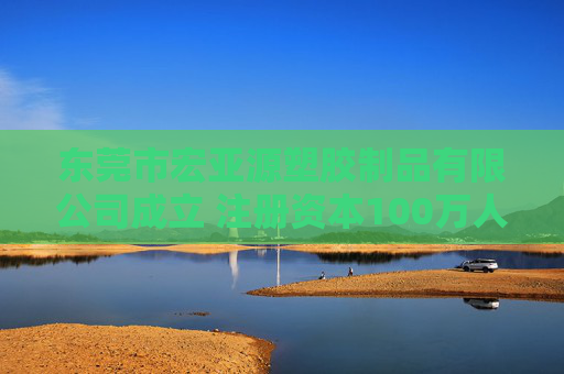 东莞市宏亚源塑胶制品有限公司成立 注册资本100万人民币