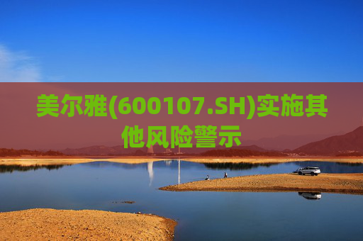 美尔雅(600107.SH)实施其他风险警示