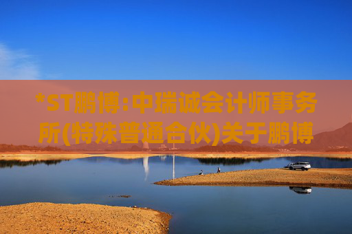 *ST鹏博:中瑞诚会计师事务所(特殊普通合伙)关于鹏博士电信传媒集团股份有限公司2024年度募集资金存放与实际使用情况鉴证报告  第1张