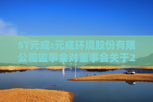 ST元成:元成环境股份有限公司监事会对董事会关于2024年度保留意见审计报告和带强调事项段的无保留意见内部控制审计报告涉及事项的专项说明