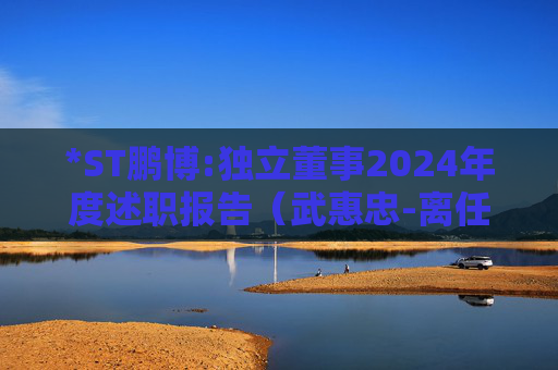 *ST鹏博:独立董事2024年度述职报告（武惠忠-离任）