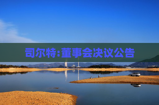 司尔特:董事会决议公告