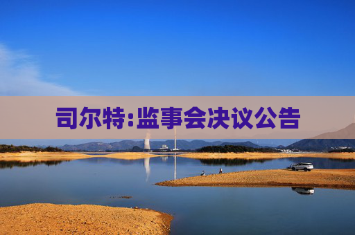 司尔特:监事会决议公告  第1张