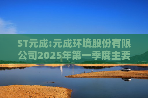 ST元成:元成环境股份有限公司2025年第一季度主要经营数据的公告