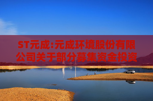 ST元成:元成环境股份有限公司关于部分募集资金投资项目延期的公告