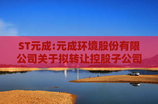 ST元成:元成环境股份有限公司关于拟转让控股子公司硅密电子股权的公告