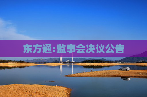 东方通:监事会决议公告
