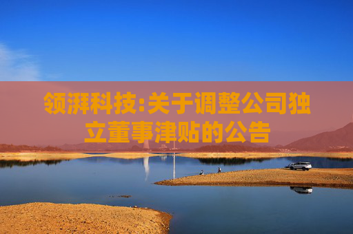 领湃科技:关于调整公司独立董事津贴的公告