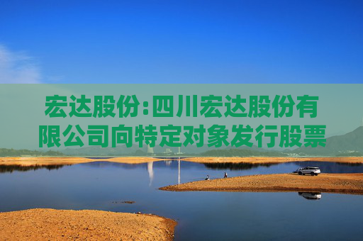 宏达股份:四川宏达股份有限公司向特定对象发行股票募集说明书（申报稿）（修订稿）
