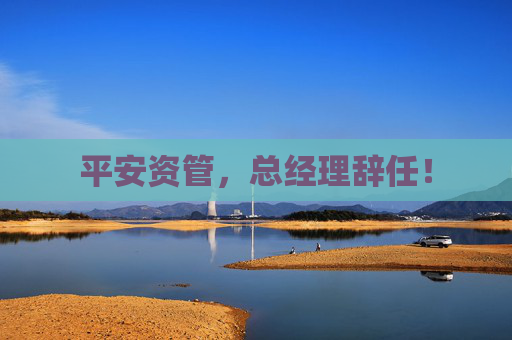 平安资管，总经理辞任！  第1张