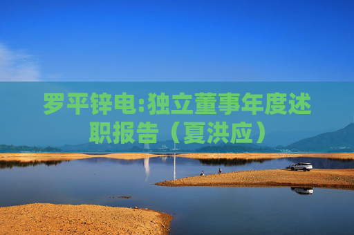 罗平锌电:独立董事年度述职报告（夏洪应）