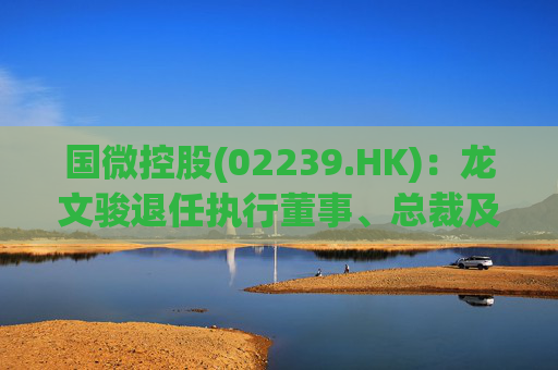 国微控股(02239.HK)：龙文骏退任执行董事、总裁及首席财务官职务