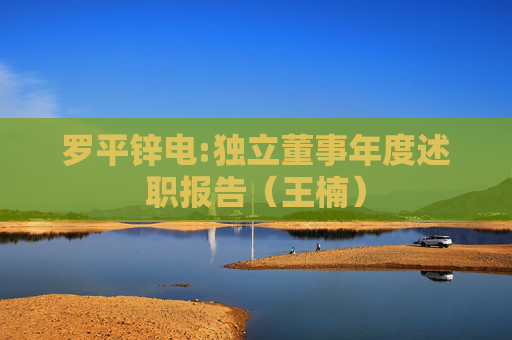 罗平锌电:独立董事年度述职报告（王楠）