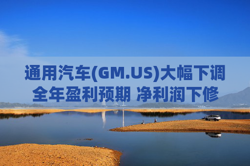 通用汽车(GM.US)大幅下调全年盈利预期 净利润下修至82亿-101亿美元