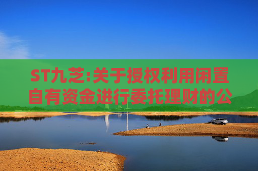 ST九芝:关于授权利用闲置自有资金进行委托理财的公告