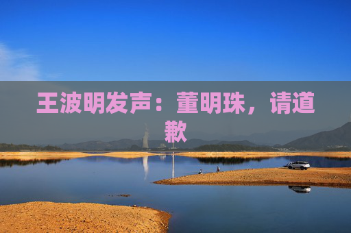 王波明发声：董明珠，请道歉