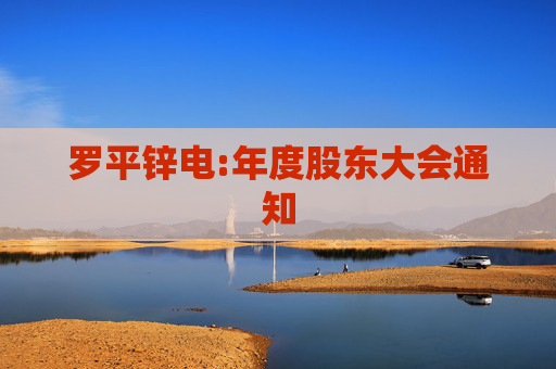罗平锌电:年度股东大会通知