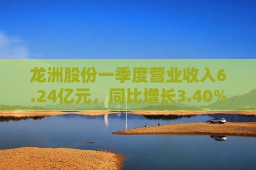 龙洲股份一季度营业收入6.24亿元，同比增长3.40%