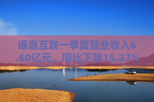 通鼎互联一季度营业收入6.60亿元，同比下降15.27%  第1张