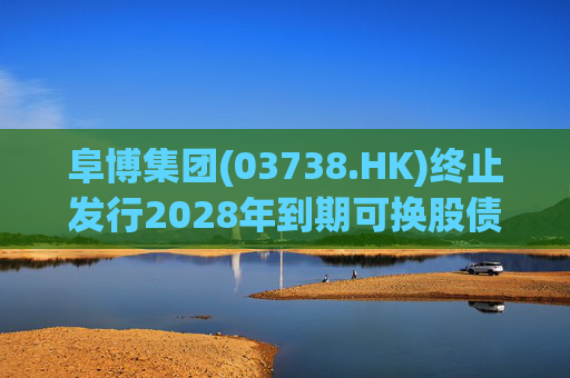阜博集团(03738.HK)终止发行2028年到期可换股债券  第1张
