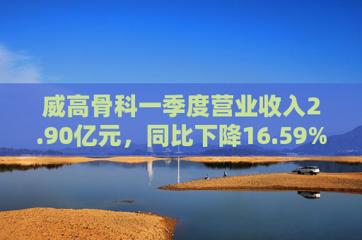 威高骨科一季度营业收入2.90亿元，同比下降16.59%  第1张