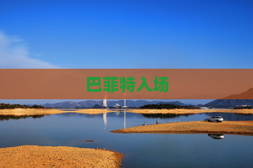巴菲特入场