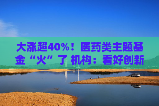 大涨超40%！医药类主题基金“火”了 机构：看好创新药投资机会
