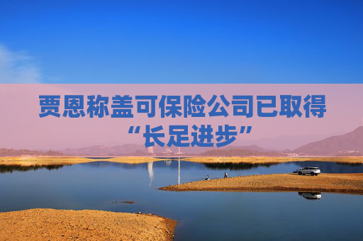 贾恩称盖可保险公司已取得 “长足进步”