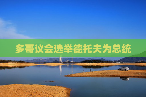 多哥议会选举德托夫为总统