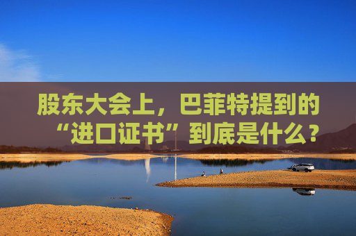 股东大会上，巴菲特提到的“进口证书”到底是什么？