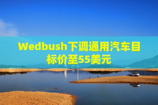 Wedbush下调通用汽车目标价至55美元