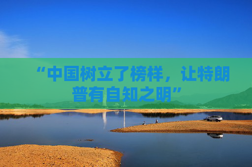 “中国树立了榜样，让特朗普有自知之明”