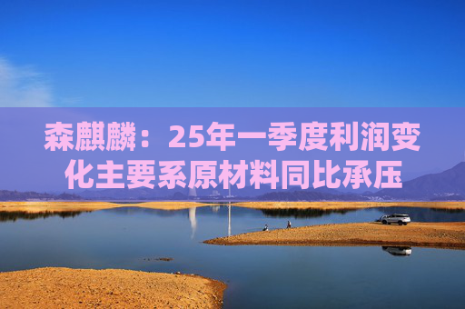森麒麟：25年一季度利润变化主要系原材料同比承压