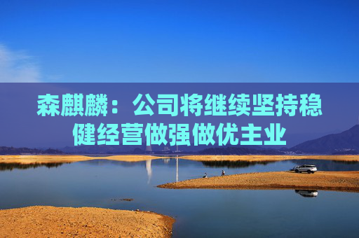 森麒麟：公司将继续坚持稳健经营做强做优主业