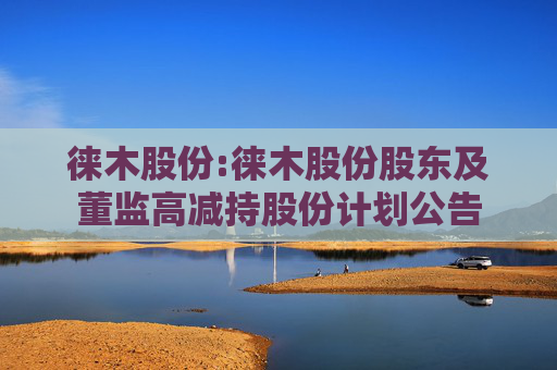 徕木股份:徕木股份股东及董监高减持股份计划公告