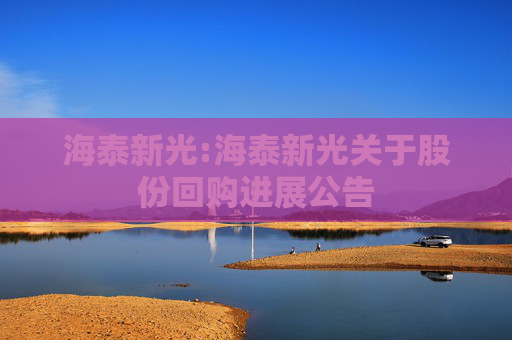 海泰新光:海泰新光关于股份回购进展公告