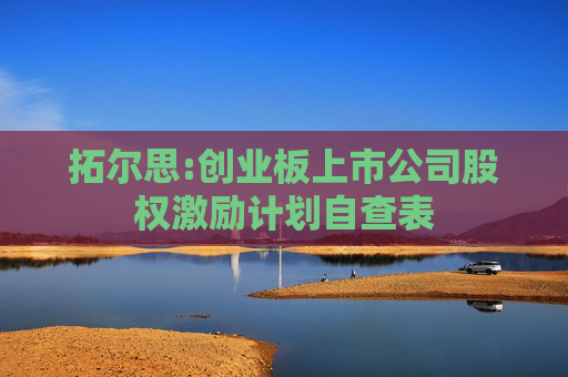 拓尔思:创业板上市公司股权激励计划自查表