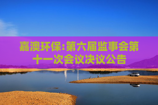 嘉澳环保:第六届监事会第十一次会议决议公告