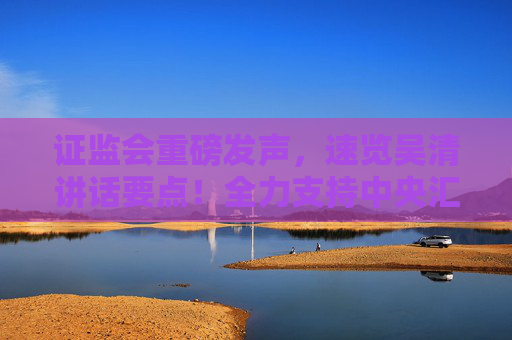 证监会重磅发声，速览吴清讲话要点！全力支持中央汇金公司发挥类平准基金作用