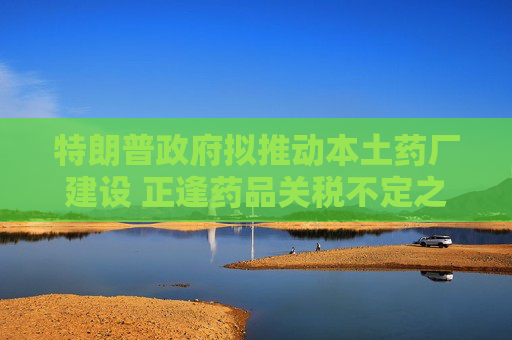 特朗普政府拟推动本土药厂建设 正逢药品关税不定之际