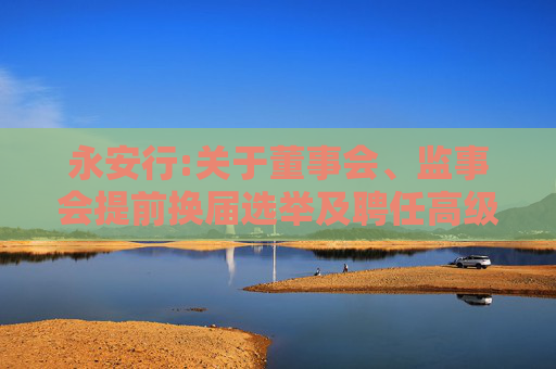 永安行:关于董事会、监事会提前换届选举及聘任高级管理人员的公告