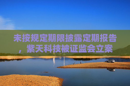 未按规定期限披露定期报告，紫天科技被证监会立案
