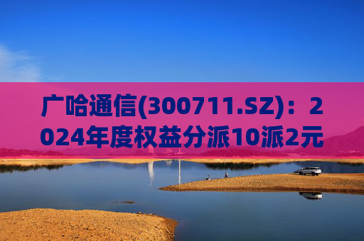 广哈通信(300711.SZ)：2024年度权益分派10派2元 股权登记日5月12日