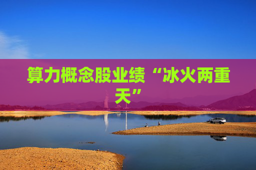 算力概念股业绩“冰火两重天”