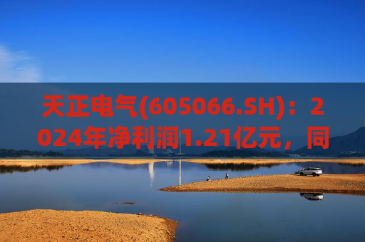 天正电气(605066.SH)：2024年净利润1.21亿元，同比下降24.94%  第1张
