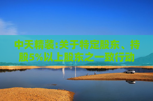 中天精装:关于特定股东、持股5%以上股东之一致行动人减持股份的预披露公告  第1张